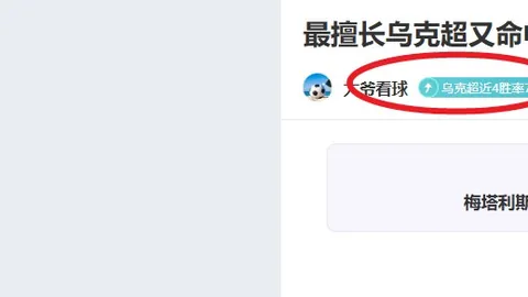 中国网球赛7小时精彩瞬间：金花双线表现不一，布云朝克特经历逆转对决